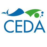 CEDA